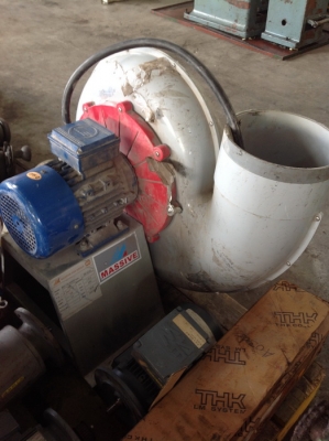 หอยโข่ง MASSIVE