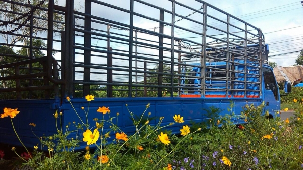 ขายNPR 130 ปลาย ปี43 ยาว 5 เมตร