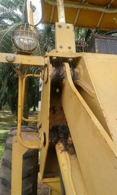 รถตักล้อยาง 510 PAYLOADER มีทั้งหมด 2 คัน คันละ 950,000 บาท รถตักล้อยาง 510 PAYLOADER มีทั้งหมด 2 คัน คันละ 950,000 บาท