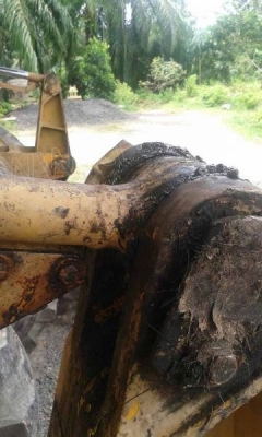 รถตักล้อยาง 510 PAYLOADER มีทั้งหมด 2 คัน คันละ 950,000 บาท รถตักล้อยาง 510 PAYLOADER มีทั้งหมด 2 คัน คันละ 950,000 บาท