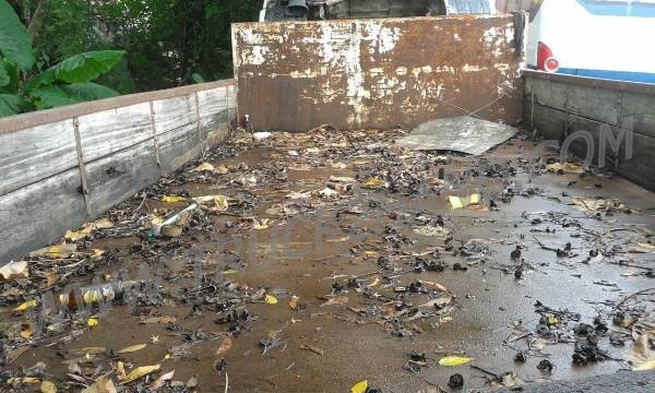 ขายยกชุด 2 คัน รถบรรทุก 6 ล้อ HINO KM777และรถบรรทุก 6 ล้อ HINO FB113