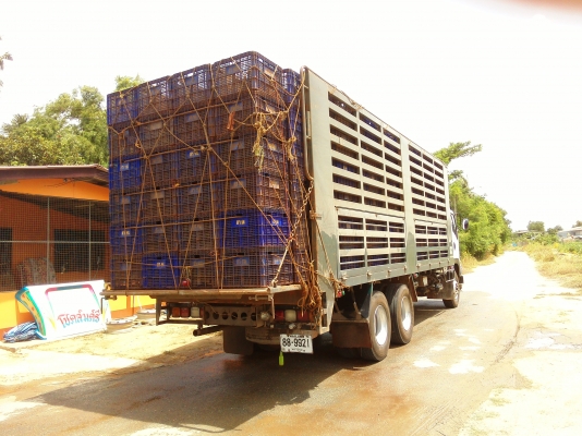 ขายดาวน์ ISUZU DEGA FVM 240 ปี 55