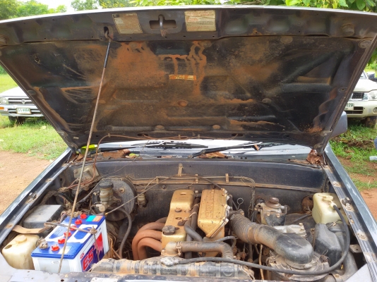 มังกรทองยอดประหยัด ขับดีมาก สวยๆถูกๆ 98000