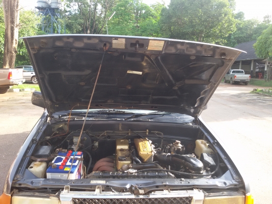 มังกรทองยอดประหยัด ขับดีมาก สวยๆถูกๆ 98000