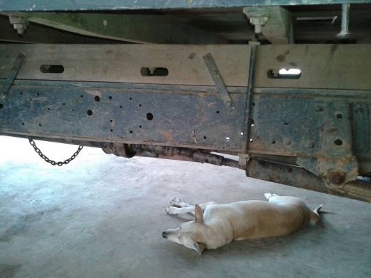 ขายครับNKR ปี31รถห้างแท้เครื่องดีแคชชีเก็บงานด้านซ้ายหัวต้องเก็บงานกระบะสวยยางทิ้ง6เส้นสนใจโทรครับ