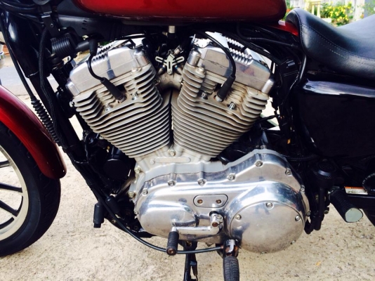 ถูกโครตๆHARLEY sporter 883 L 2009 หัวฉีด inv+สพม แท้ครบ ราคา275000บาท ถูกโครตๆHARLEY sporter 883 L 2009 หัวฉีด inv+สพม แท้ครบ ราคา275000บาท