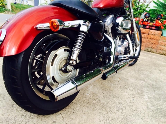 ถูกโครตๆHARLEY sporter 883 L 2009 หัวฉีด inv+สพม แท้ครบ ราคา275000บาท ถูกโครตๆHARLEY sporter 883 L 2009 หัวฉีด inv+สพม แท้ครบ ราคา275000บาท