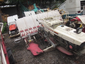 ขาย - รถปลูกข้าว ดำนา YANMAR : AP 60 แบบเดินตาม 6 แถว มือสองญี่ปุ่น สภาพสวย เครื่องดี