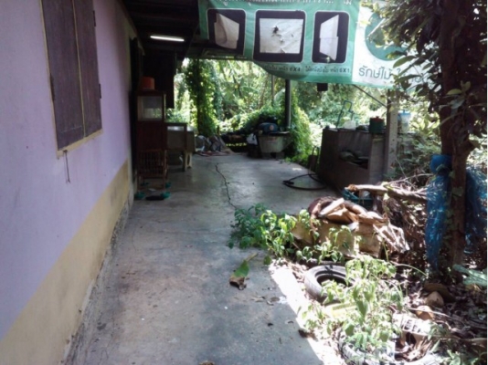 ที่ดินพร้อมสิ่งปลูกสร้างติดถนน เนื้อ 1ไร่ 2งาน 92ตารางวา ที่ดินมีโฉนด อยู่คลอง 12 อำเภอหนองเสือ ตำบลหนองสามวัง ที่ดินสวย สนใจโทรมาคุยกันครับ