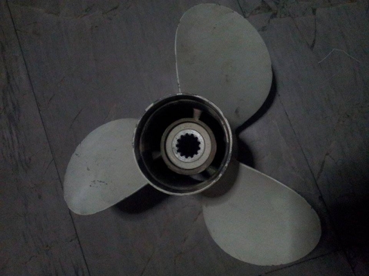 ขายใบจัก