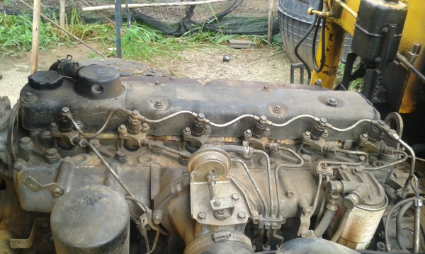 ขายด่วน