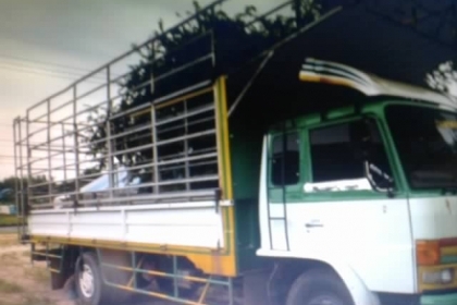 ขาย F17 เครื่อง EH700 168 แรง หกล้อ พร้อมใช้ โทร 088-4501277