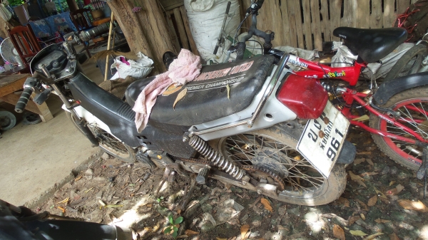 ขายnova-s ขายnova-s