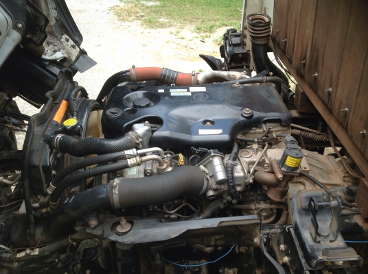 ขาย 6 ล้อ NMR -130 ปี 52 สวย ๆ ครับ ขาย 6 ล้อ NMR -130 ปี 52 สวย ๆ ครับ