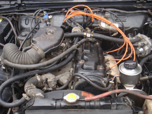 ขายแล้ว ขายแล้ว