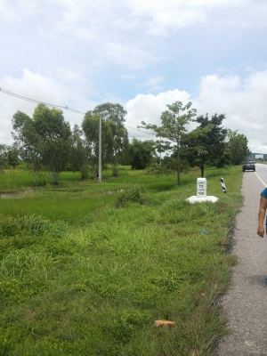 ขายที่ดิน ติดถนนใหญ่ หน้ากว้าง30 เมตร สายพิษณุโลก-เด่นชัย จำนวน 5ไร่