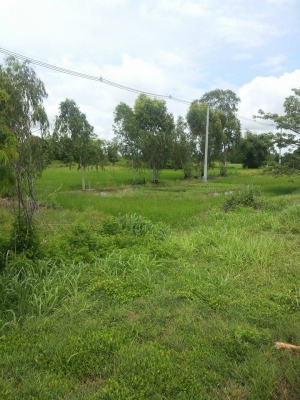 ขายที่ดิน ติดถนนใหญ่ หน้ากว้าง30 เมตร สายพิษณุโลก-เด่นชัย จำนวน 5ไร่