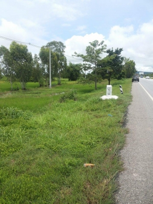 ขายที่ดิน ติดถนนใหญ่ หน้ากว้าง30 เมตร สายพิษณุโลก-เด่นชัย จำนวน 5ไร่