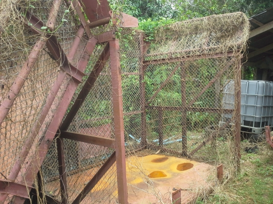 ขายกล่องบรรทุกอ้อย