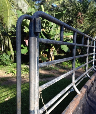 ขายรถ MIGHTY-X