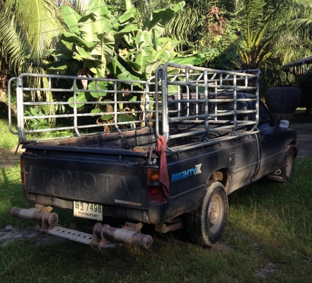 ขายรถ MIGHTY-X