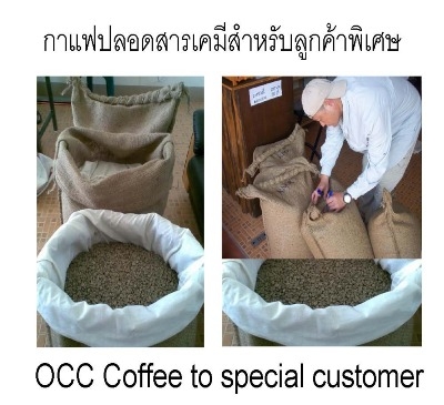 รับออกแบบโลโก้ร้านกาแฟฟรีแพ็คพร้อมเม็ดกาแฟคั่วสดใหม่พร้อมขาย รับออกแบบโลโก้ร้านกาแฟฟรีแพ็คพร้อมเม็ดกาแฟคั่วสดใหม่พร้อมขาย