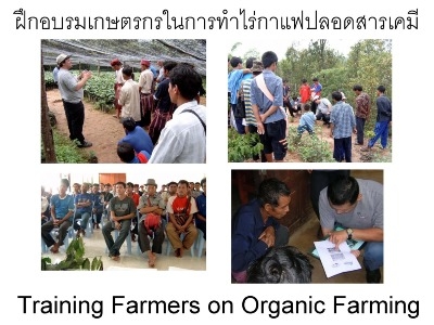 รับออกแบบโลโก้ร้านกาแฟฟรีแพ็คพร้อมเม็ดกาแฟคั่วสดใหม่พร้อมขาย รับออกแบบโลโก้ร้านกาแฟฟรีแพ็คพร้อมเม็ดกาแฟคั่วสดใหม่พร้อมขาย