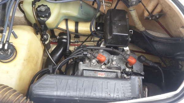 ปลาโอ ขายถูกๆ (มีถอยหลัง) ปลาโอ ขายถูกๆ (มีถอยหลัง)