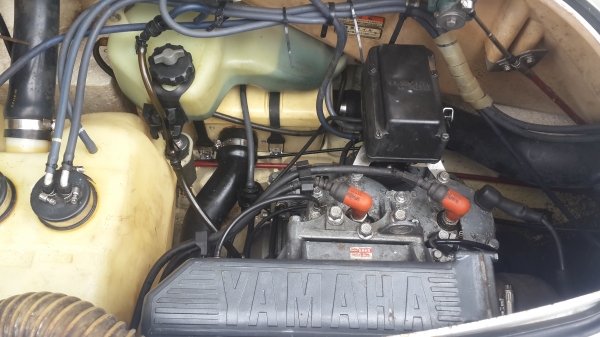 ปลาโอ ขายถูกๆ (มีถอยหลัง) ปลาโอ ขายถูกๆ (มีถอยหลัง)