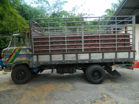 ขายด่วน Hino 6ล้อ KM505 ขายด่วน Hino 6ล้อ KM505