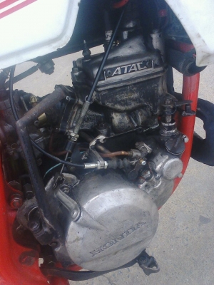 ขาย MTX ขาย MTX