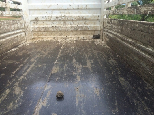 รถอีซูซุ 6 ล้อดั้ม 210 แรงม้า. ปี 56 ( รถวิ่ง 2x,xxx กม. ) สนใจติดต่อ 081 - 6079515 รถอีซูซุ 6 ล้อดั้ม 210 แรงม้า. ปี 56 ( รถวิ่ง 2x,xxx กม. ) สนใจติดต่อ 081 - 6079515