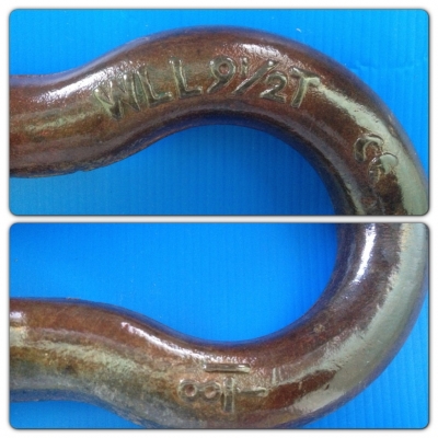 ขายห่วงสเก็นตรง WLL 17T