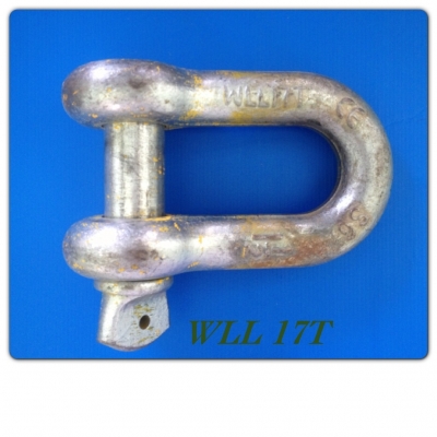ขายห่วงสเก็นตรง WLL 17T