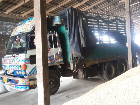 เคที520000แปลงสวยต่อลองได้