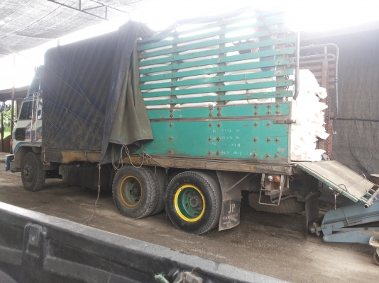 เคที520000แปลงสวยต่อลองได้