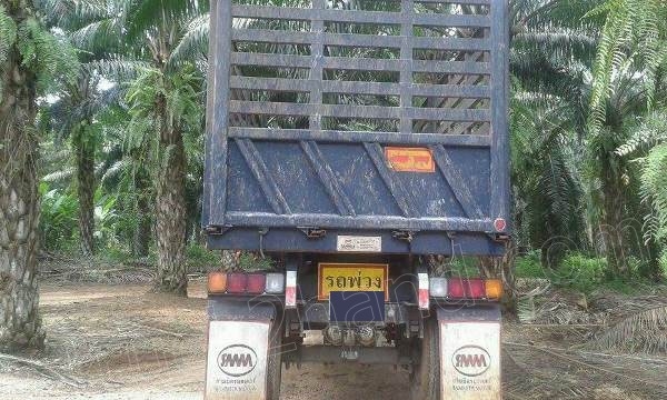 ขายดาวน์รถพ่วงแม่-ลูกดั๊ม ยี่ห้อ ISUZU รุ่น FVZ300