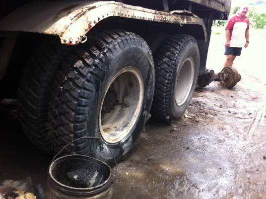 ขายจัมโบ้คัสสีใหญ่