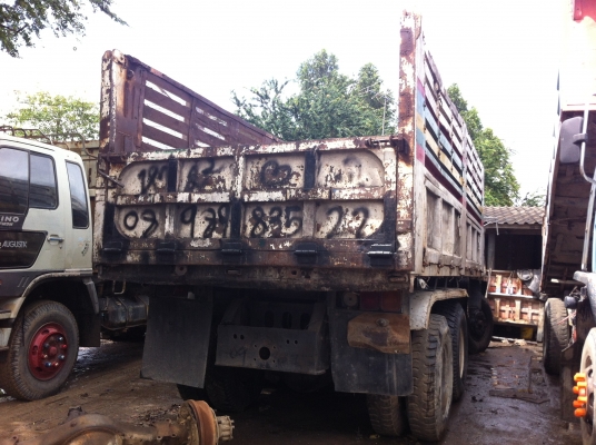 ขายจัมโบ้คัสสีใหญ่