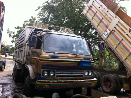 ขายจัมโบ้คัสสีใหญ่