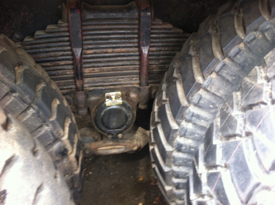 ขายจัมโบ้คัสสีใหญ่