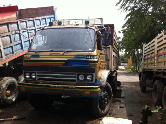 ขายจัมโบ้คัสสีใหญ่