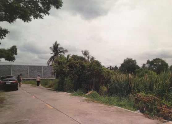 ขายที่ดิน 5ไร่  55 ตารางวา ใกล้ถนนราชพกษ์ หลังโรงเบียร์ฮอลแลนล์ ทำเลดี มีถนนตัดผ่าน ขาย ไร่ละ 8 ล้าน