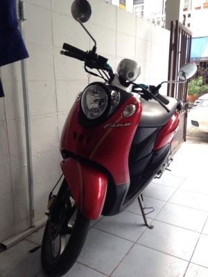 ขาย fino ปี 50 ราคา 13000 บาท ขาย fino ปี 50 ราคา 13000 บาท