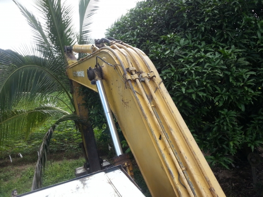 ขายโคมัสุ200-5 0857258974 พิบูล ขายโคมัสุ200-5 0857258974 พิบูล