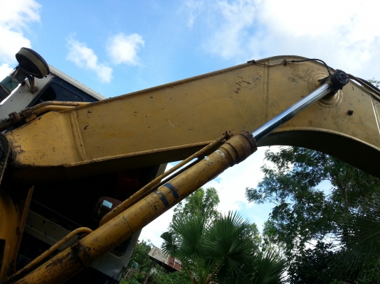 ขายโคมัสุ200-5 0857258974 พิบูล ขายโคมัสุ200-5 0857258974 พิบูล