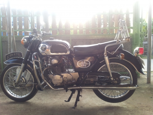 ขาย CD-175 ขาย CD-175