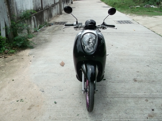 ขาย scoopy i ปี 55