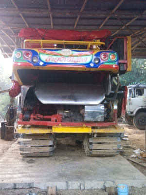 ขายจ้าวช้างไวไฟปลายปี50 ขายจ้าวช้างไวไฟปลายปี50