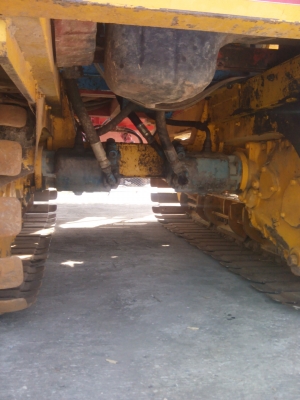 ขายจ้าวช้างไวไฟปลายปี50 ขายจ้าวช้างไวไฟปลายปี50